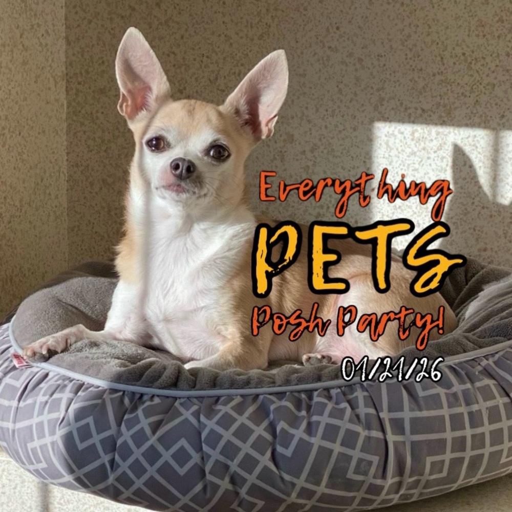 🐕🐱POSH PARTY!🐶🐈‍⬛